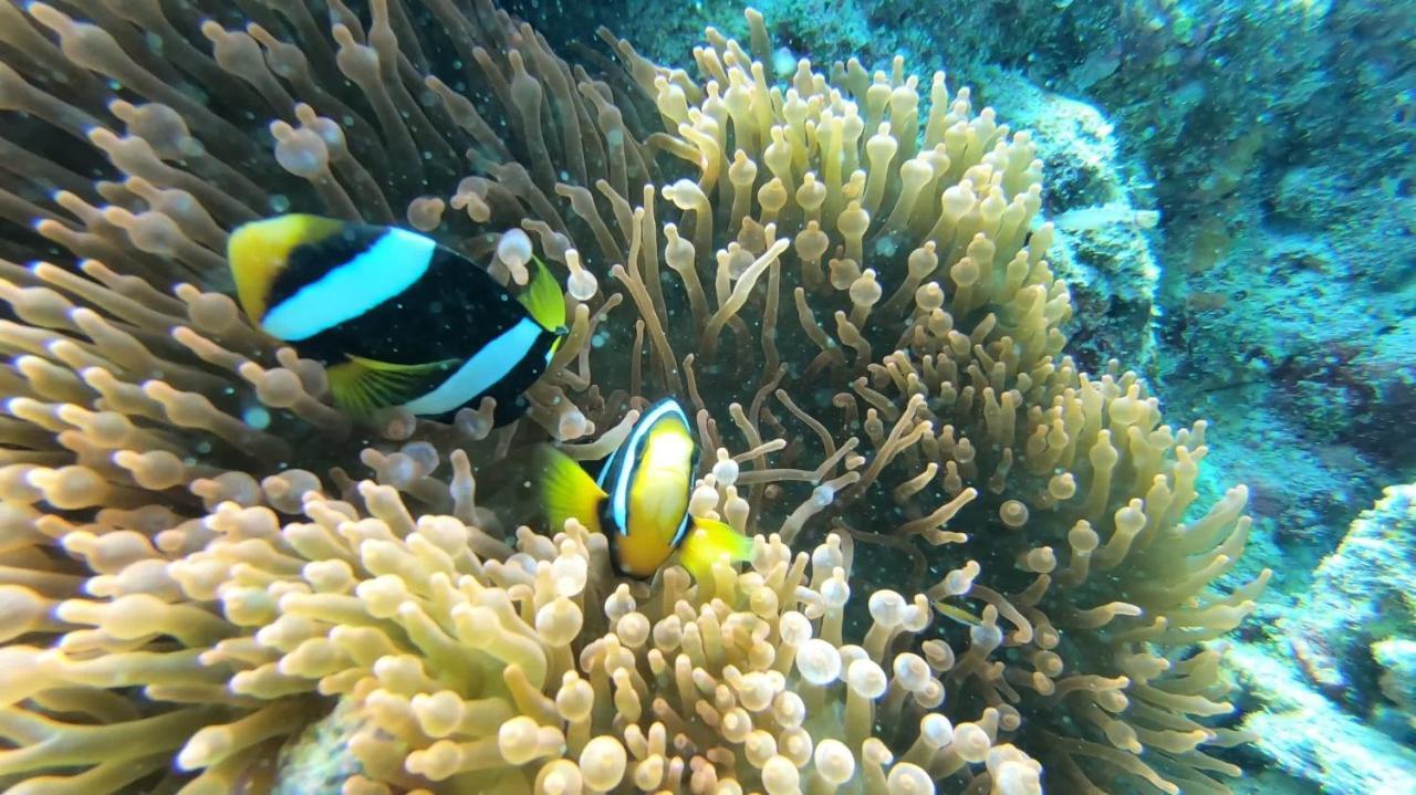 Dhangethi Inn Eksteriør billede