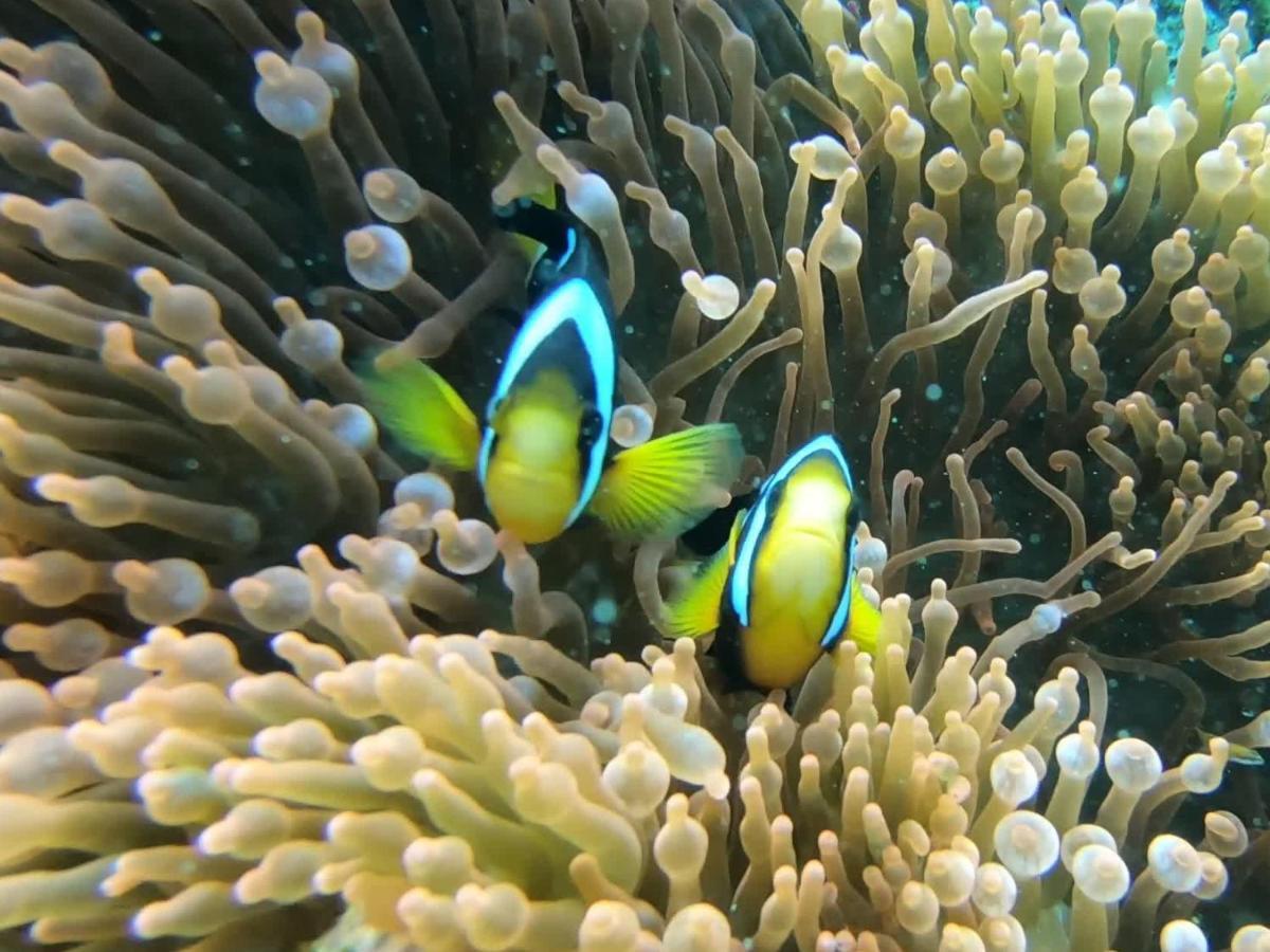 Dhangethi Inn Eksteriør billede