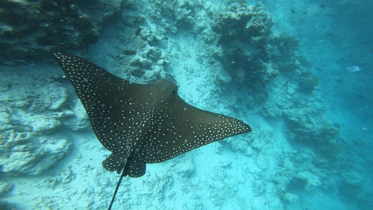 Dhangethi Inn Eksteriør billede